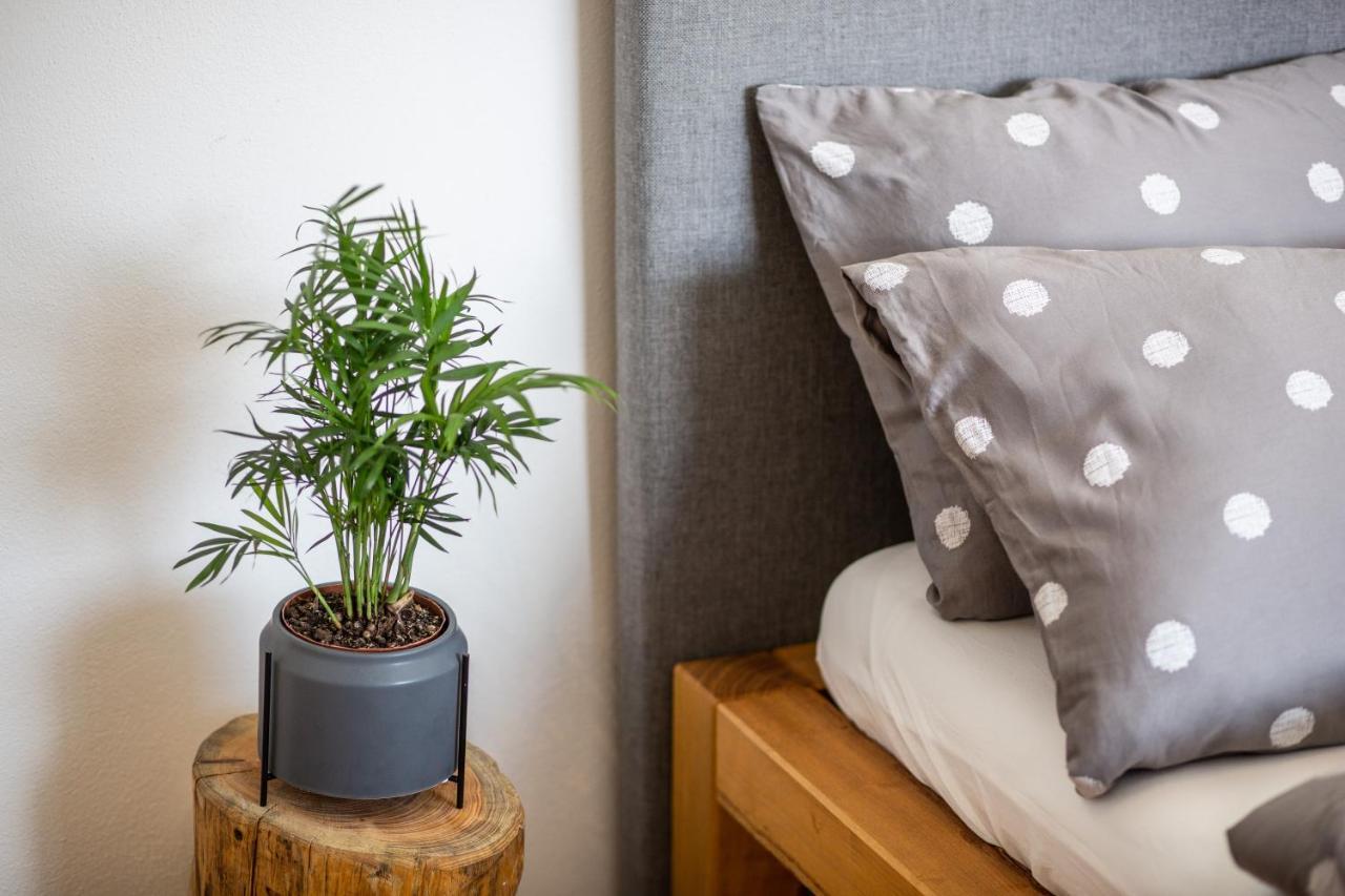 Apartmány na Mikulášském náměstí Znojmo Extérieur photo